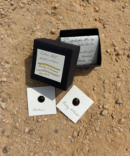 Plant-based Pigment Set (Handmade by Annie Lord)