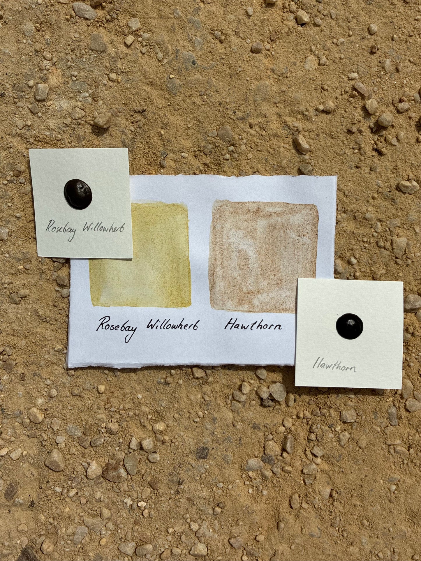 Plant-based Pigment Set (Handmade by Annie Lord)