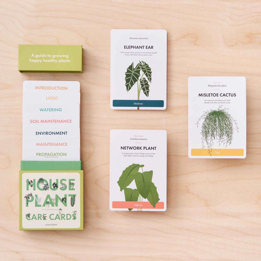 Another Studio Plant Care Cards