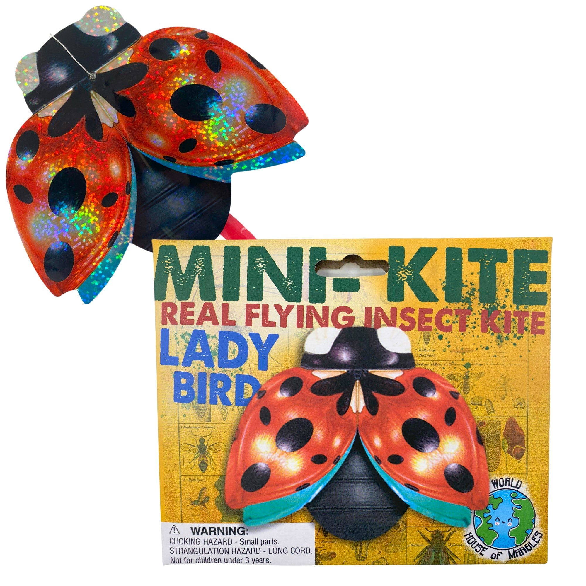 Mini Flying Insect Kite