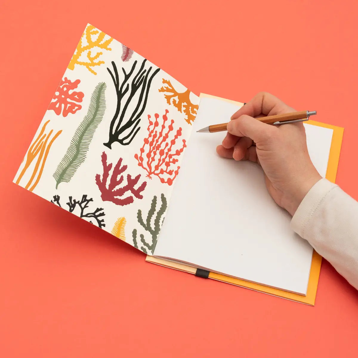 Studio Wald Seaweed Notebook + Folder