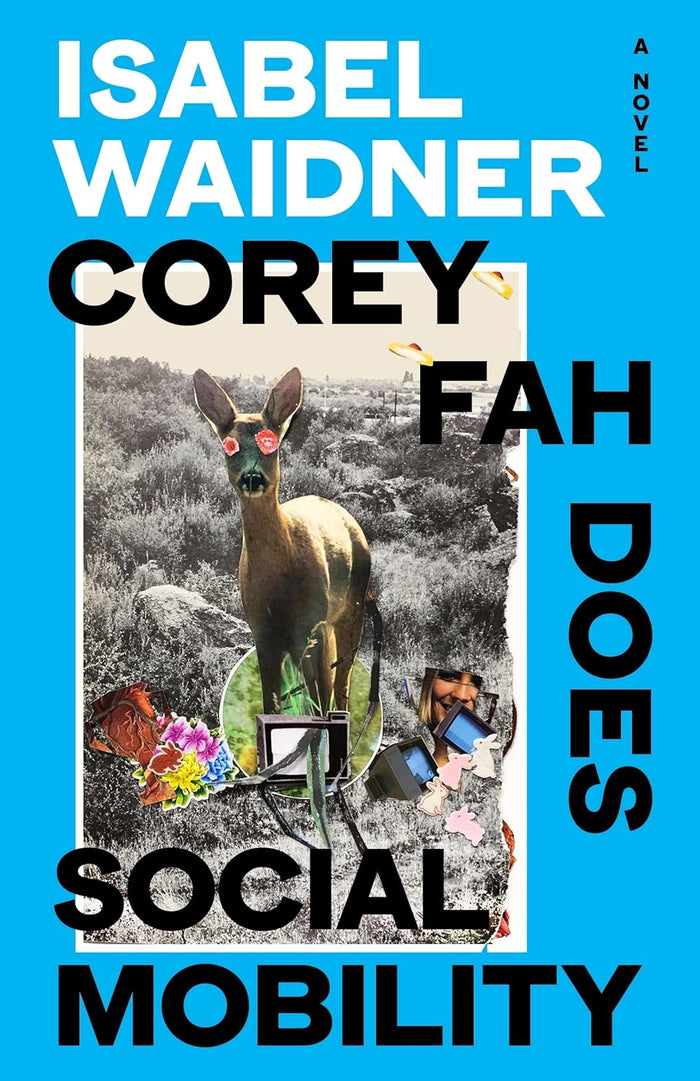 Aye Aye Books: Corey Fah Does Social Mobility by Isabel Waidner