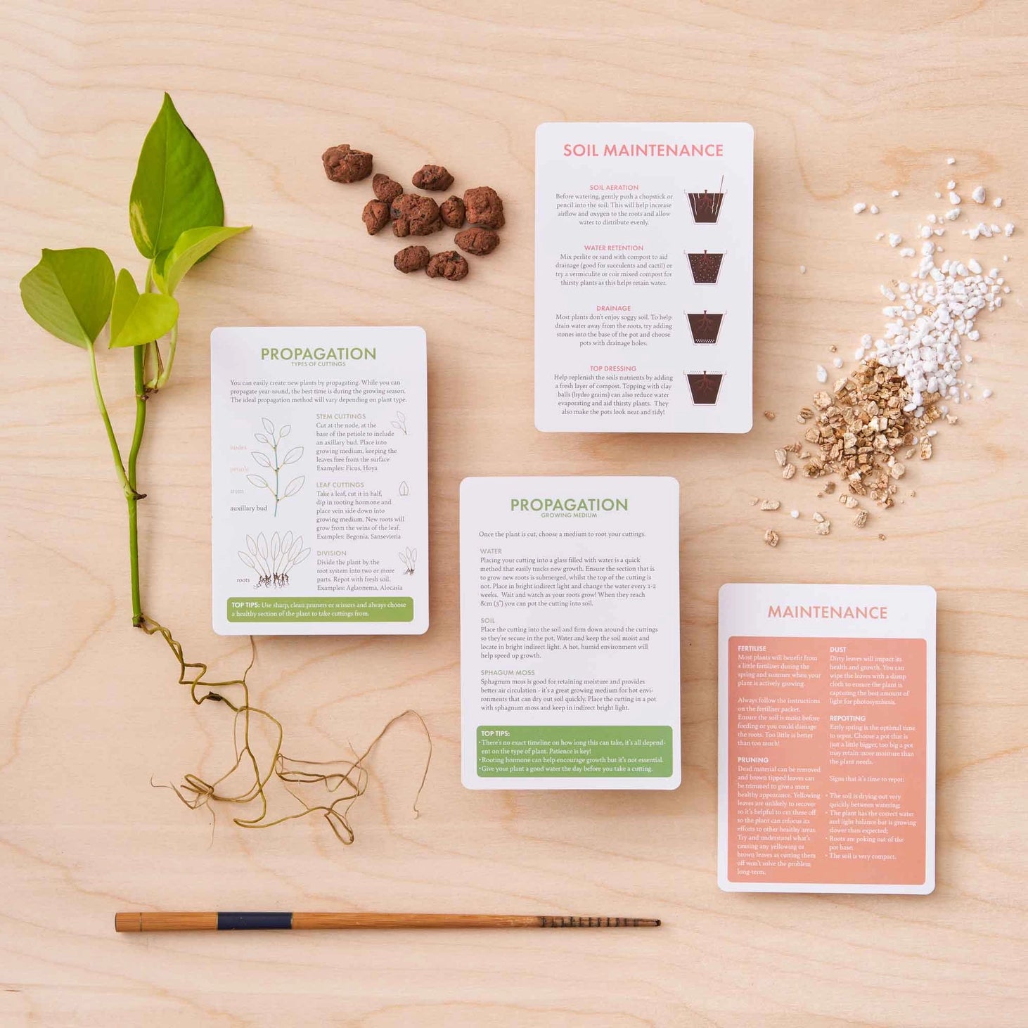 Another Studio Plant Care Cards