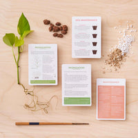 Another Studio Plant Care Cards