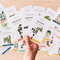 Another Studio Plant Care Cards
