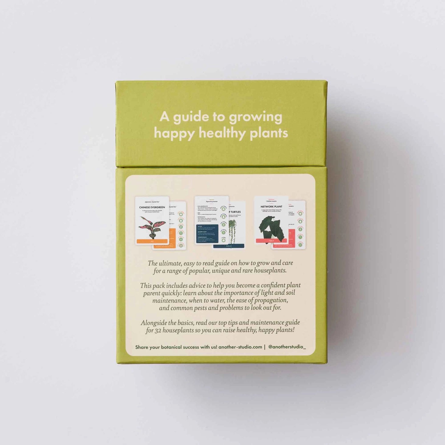 Another Studio Plant Care Cards