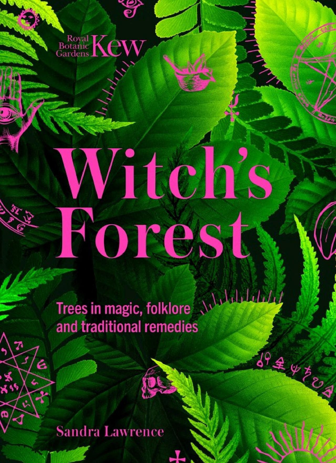 Witch's Forest Trees in Magic, Folklore, and Traditional Remedies