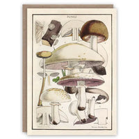 The Pattern Book Greetings Card