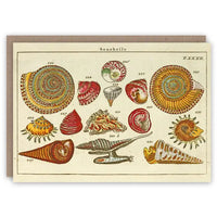 The Pattern Book Greetings Card