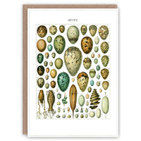 The Pattern Book Greetings Card