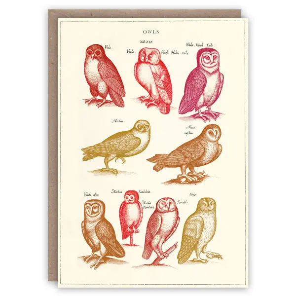 The Pattern Book Greetings Card