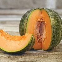 Piccolo Petit Gris de Rennes Cantaloupe Melon Seeds