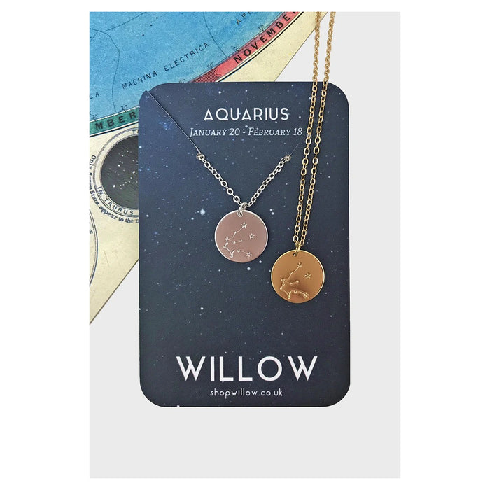 Willow Constellation Coin Necklace - Aquarius
