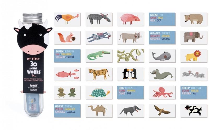 Micro Animal Dictionary